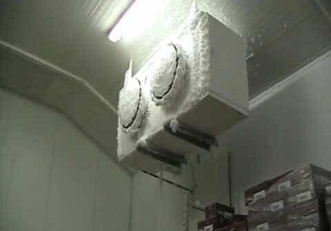 freezer-room3